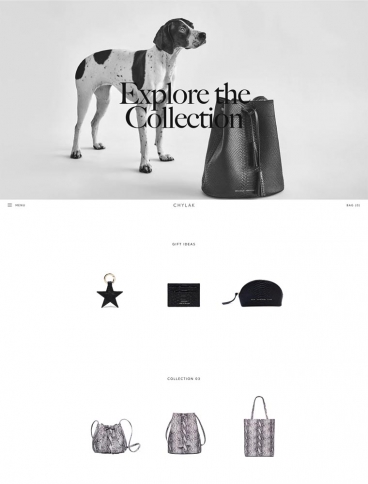 eCommerce website: Chylak