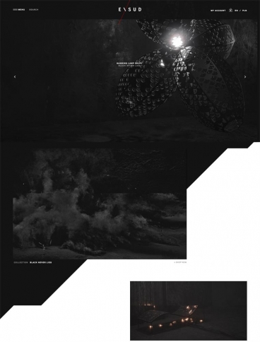 eCommerce website: EXSUD
