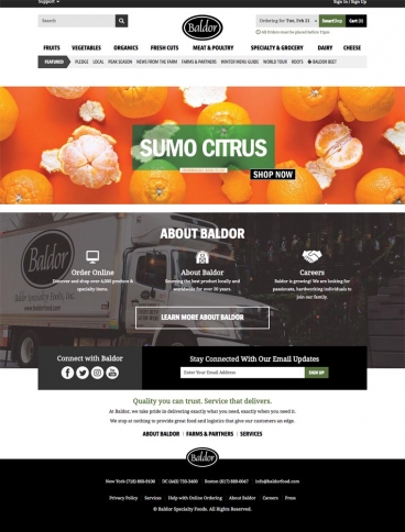 eCommerce website: Baldor