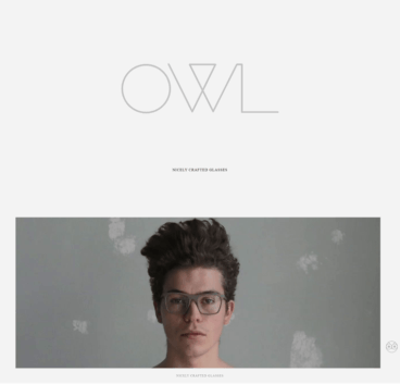 eCommerce website: OWL