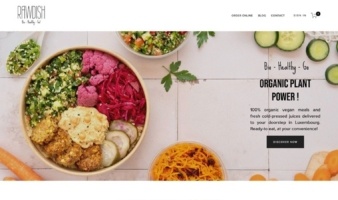 eCommerce website: Rawdish