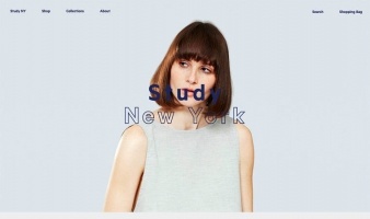 eCommerce website: Study NY