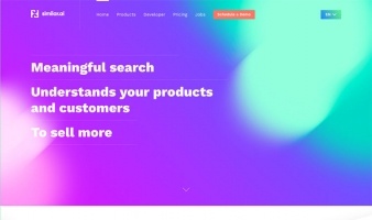 eCommerce website: Similar.ai
