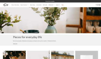 eCommerce website: Bisonhome
