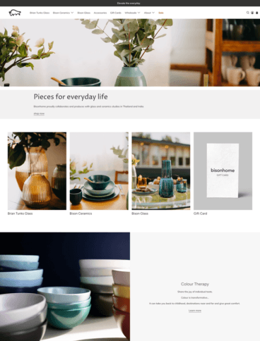 eCommerce website: Bisonhome