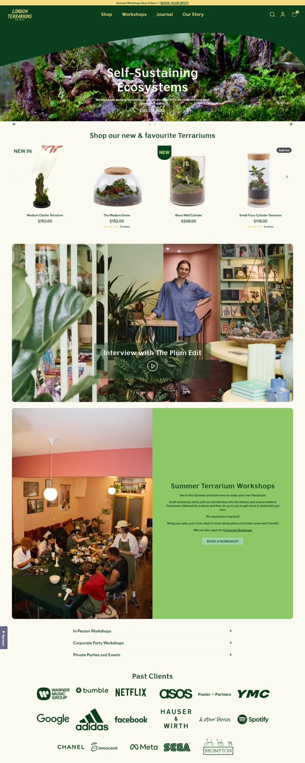 eCommerce website: London Terrariums