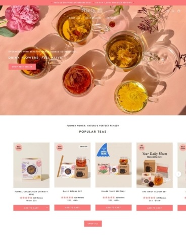eCommerce website: The Qi