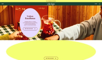 eCommerce website: Viledge
