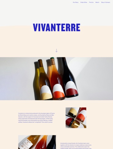 eCommerce website: Vivanterre