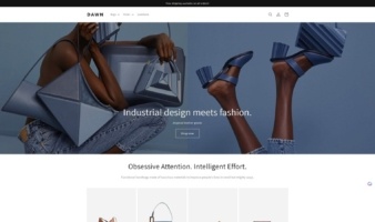 eCommerce website template: Dawn