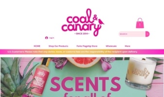 eCommerce website: Coal and Canary