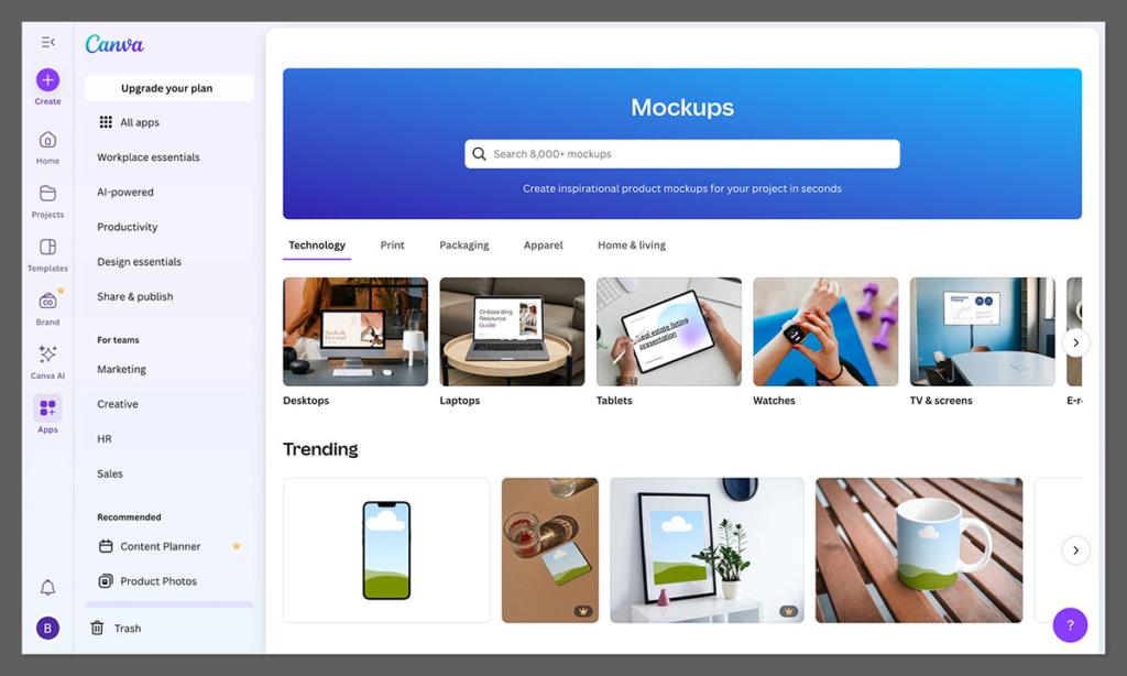 canva mockups