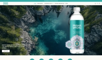 eCommerce website: PRANA Spring
