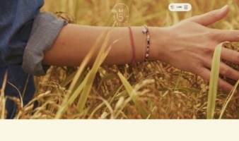 eCommerce website: Meracinque