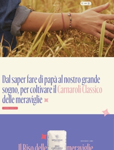 eCommerce website: Meracinque