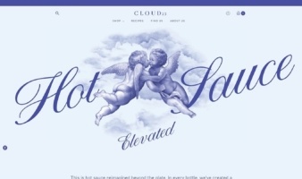 eCommerce website: Cloud23