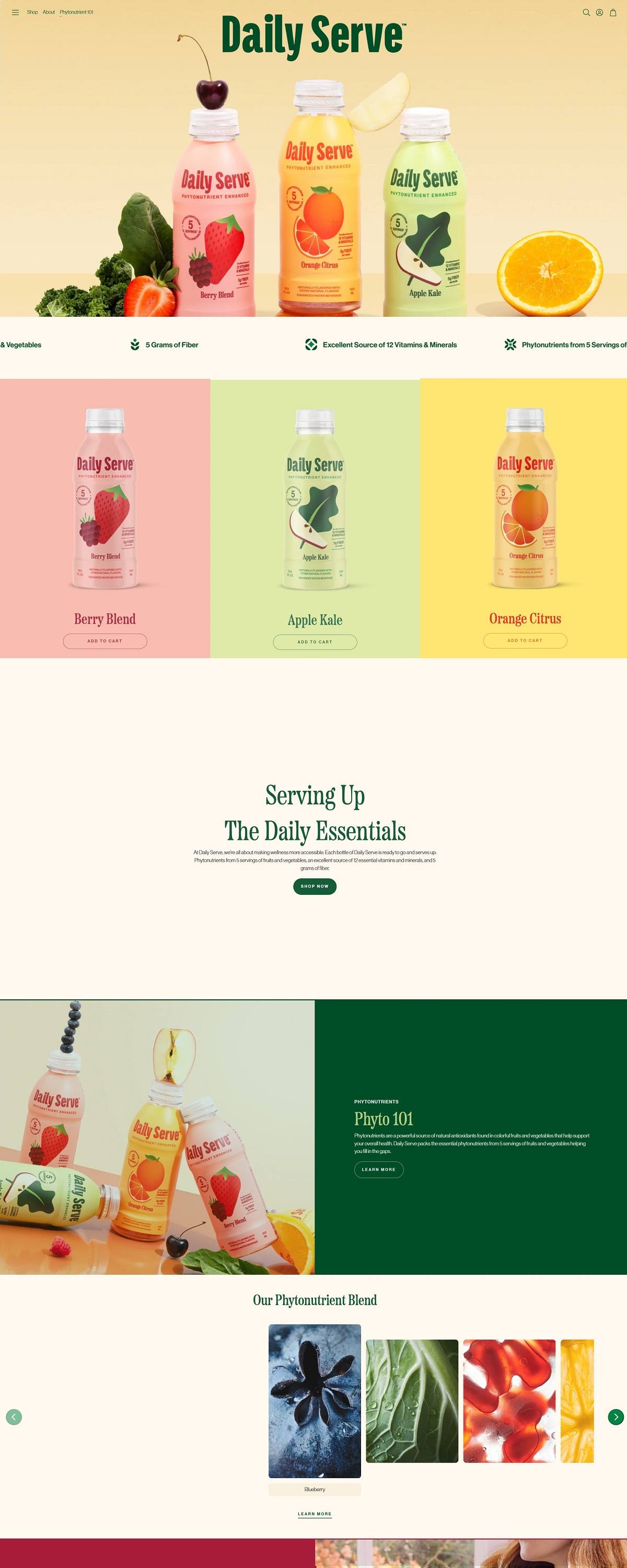 eCommerce website: Daily Serve