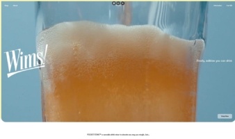 eCommerce website: Wims