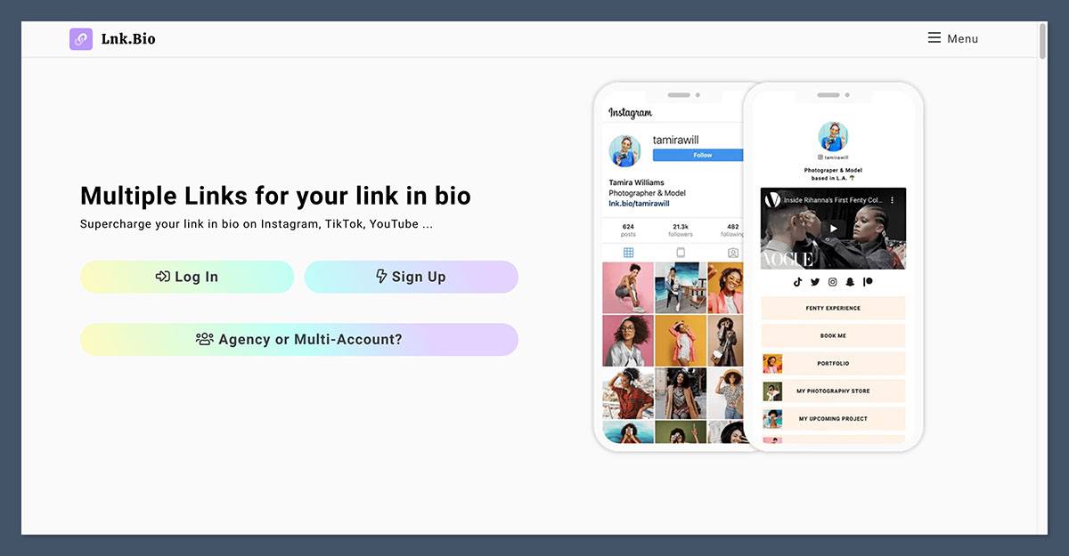 Lnk.Bio homepage