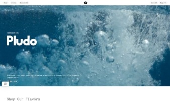 eCommerce website: Pludo Labs