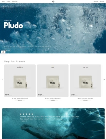 eCommerce website: Pludo Labs