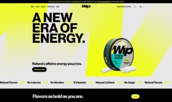 eCommerce website: Wip