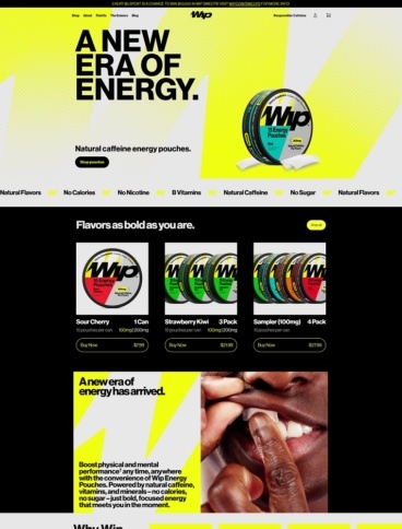 eCommerce website: Wip