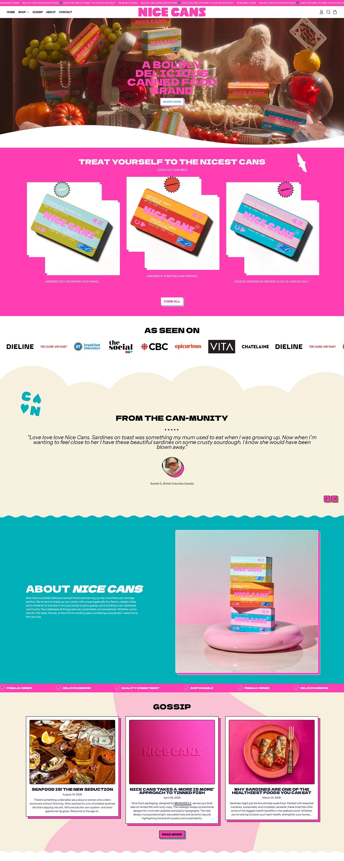 eCommerce website: Nice Cans