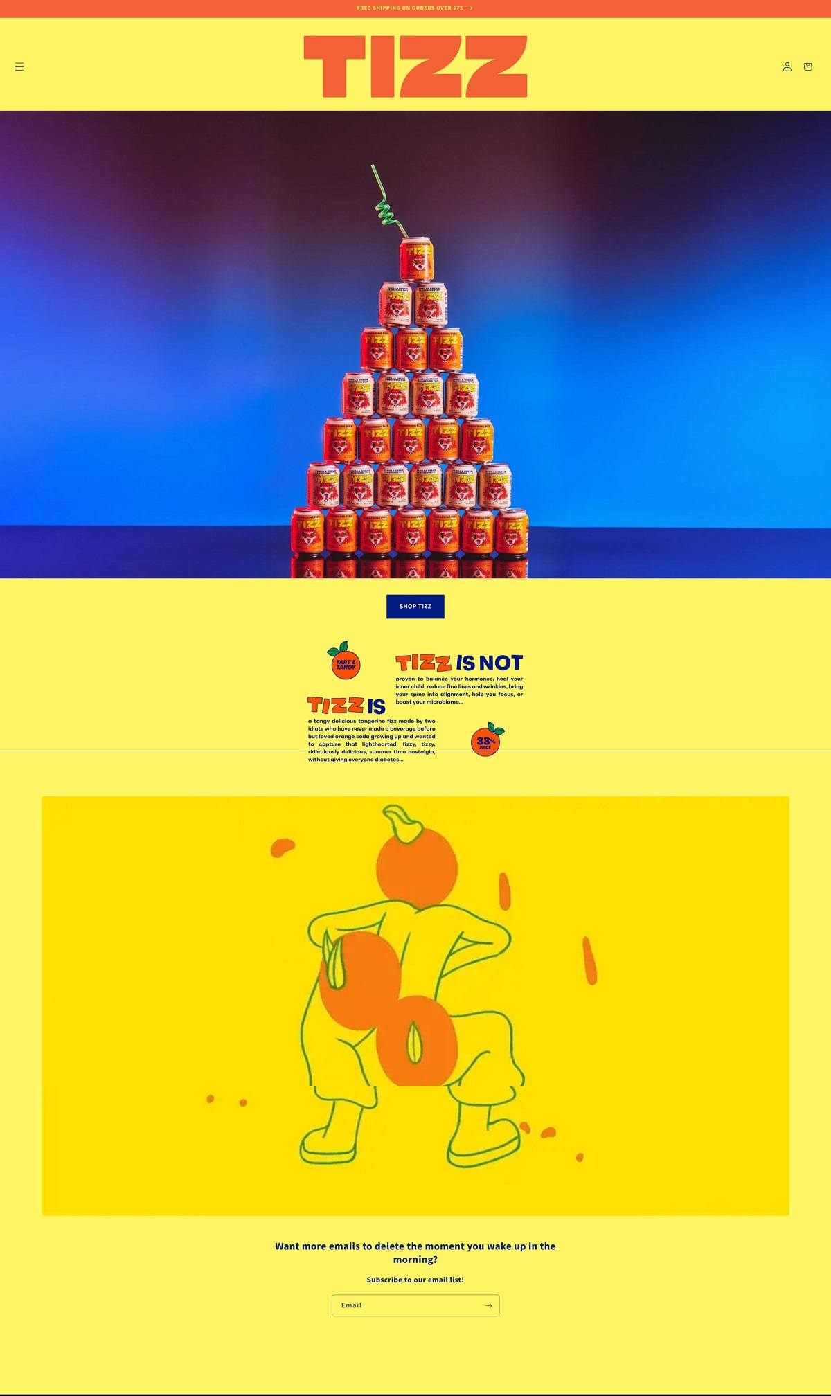 eCommerce website: TIZZ