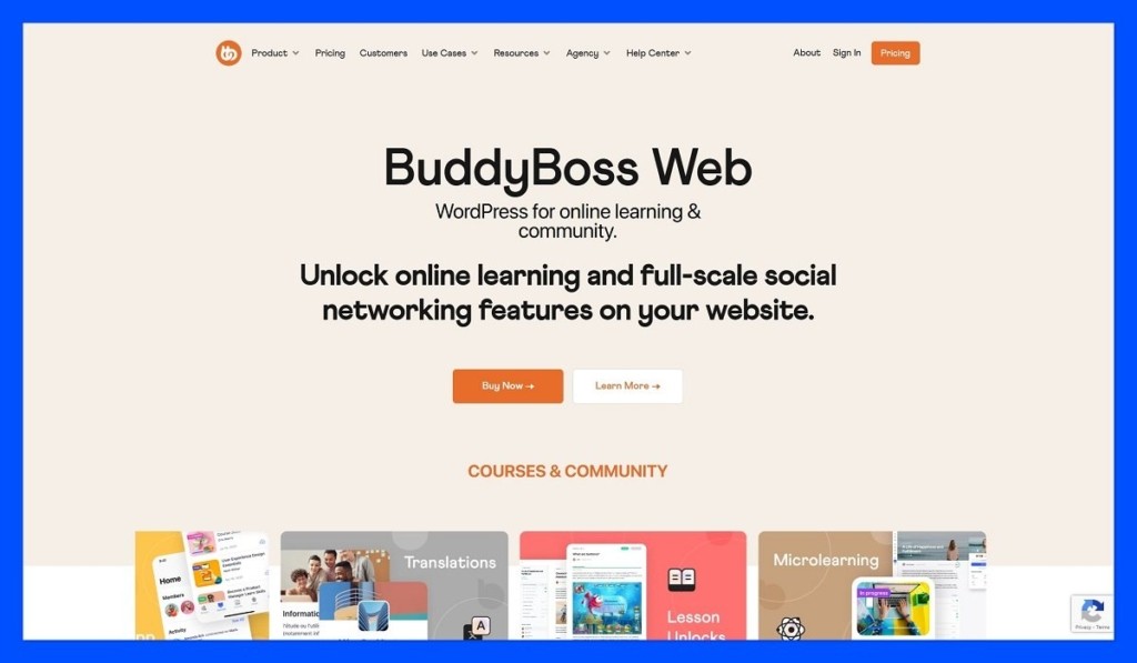BuddyBoss homepage