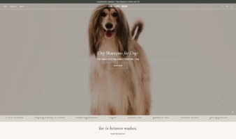 eCommerce website: Lil Luv Dog