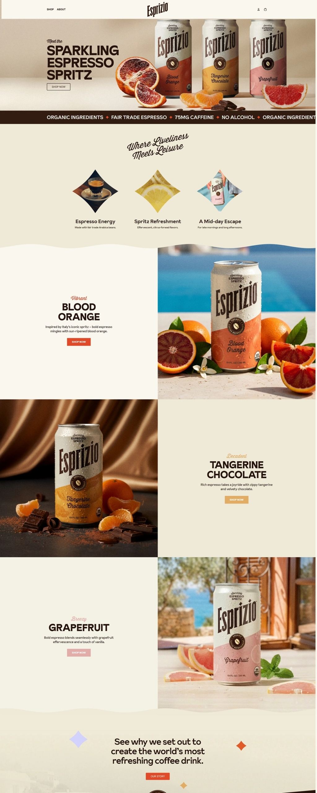 eCommerce website: Esprizio