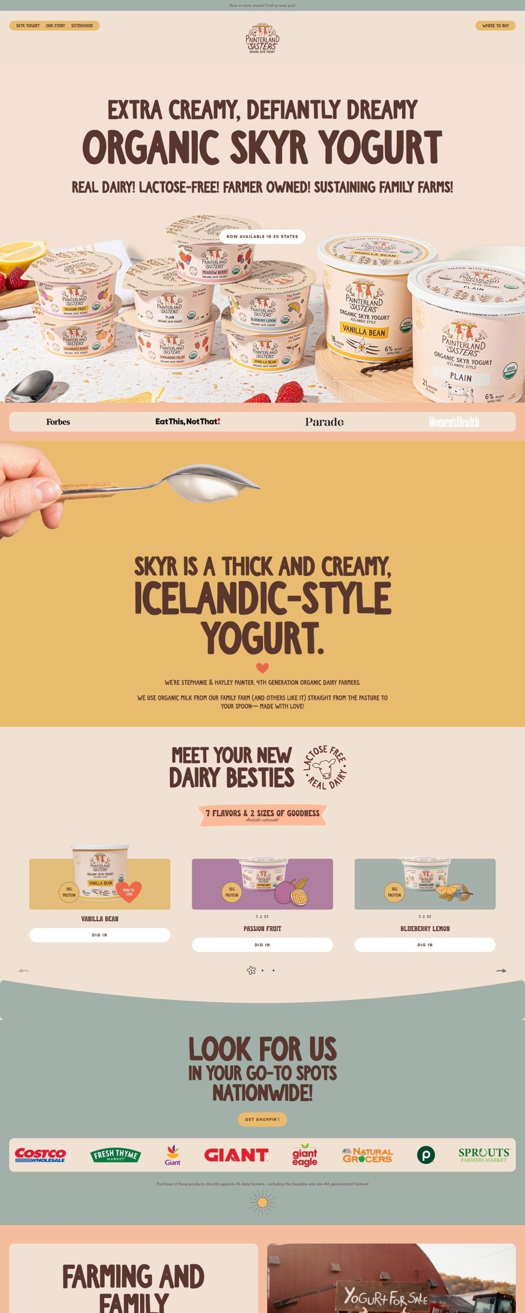 eCommerce website: Painterland Sisters