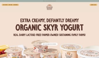 eCommerce website: Painterland Sisters