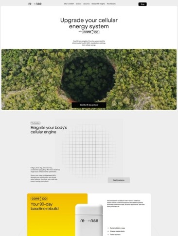 eCommerce website: Rerise
